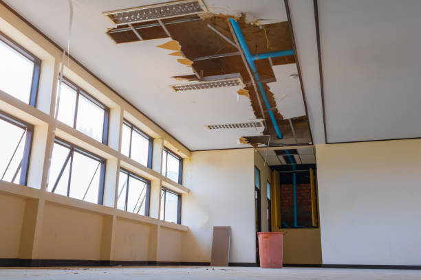 Best Carpet water damage restoration  in Los Alamitos, CA