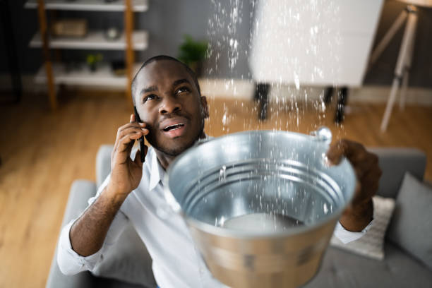 Best Mold removal after water damage  in Los Alamitos, CA