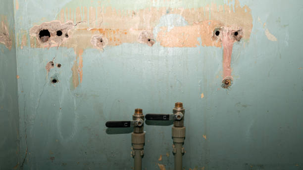 Best Emergency water damage restoration  in Los Alamitos, CA