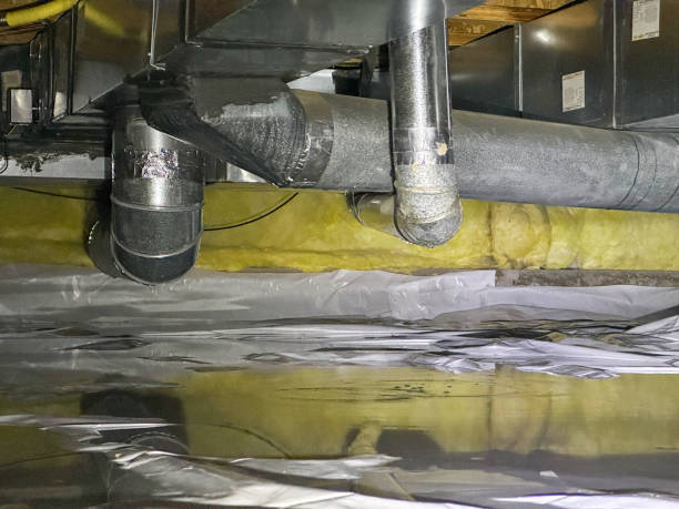 Best Commercial water damage restoration  in Los Alamitos, CA