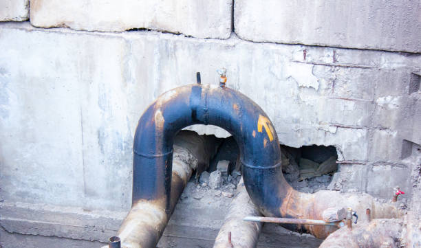 Best Mold removal after water damage  in Los Alamitos, CA