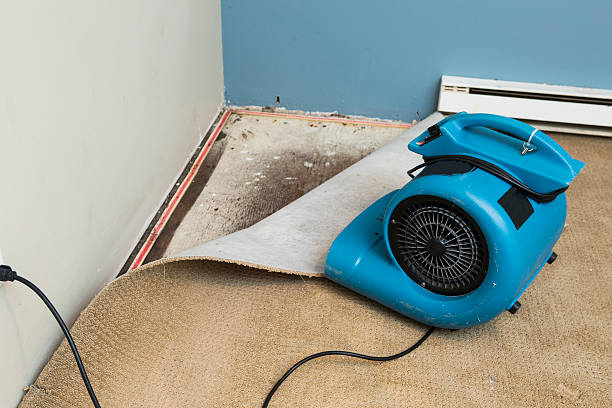 Professional Water damage restoration in Los Alamitos, CA